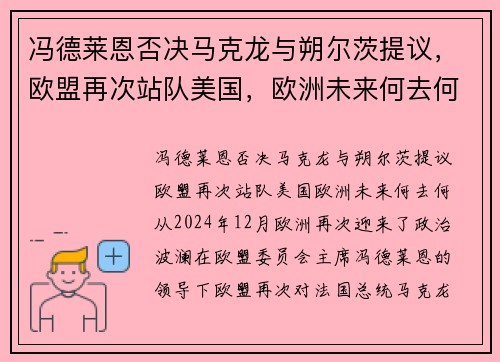 冯德莱恩否决马克龙与朔尔茨提议，欧盟再次站队美国，欧洲未来何去何从