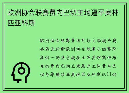 欧洲协会联赛费内巴切主场逼平奥林匹亚科斯